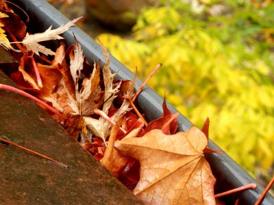 Pre-Winter Gutter Checks