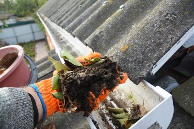 Avoid Clogging of the Gutters!
